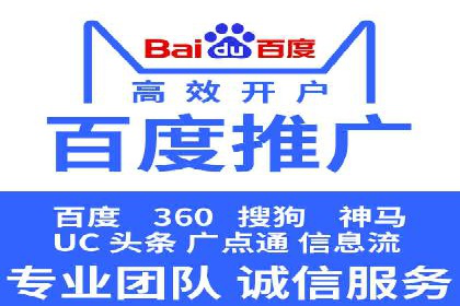大型SEM服务公司案例分析